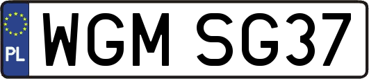 WGMSG37