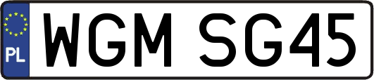 WGMSG45