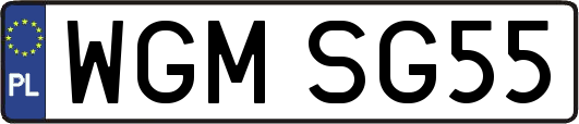 WGMSG55