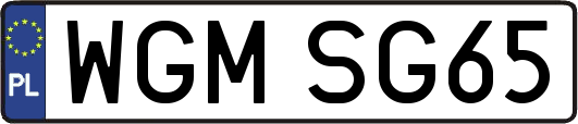 WGMSG65