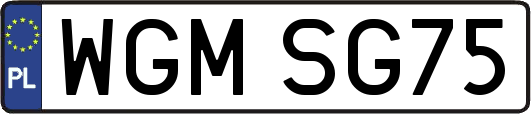 WGMSG75