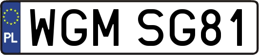 WGMSG81