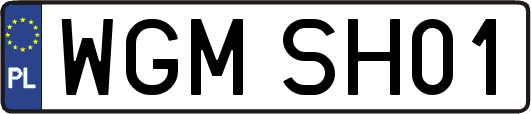 WGMSH01