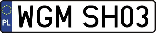 WGMSH03