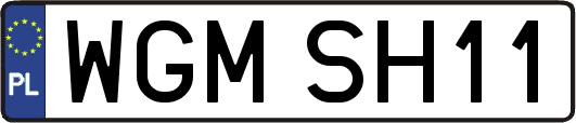 WGMSH11