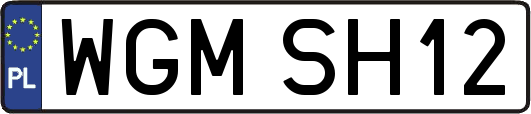 WGMSH12