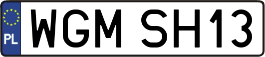 WGMSH13