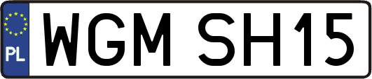 WGMSH15