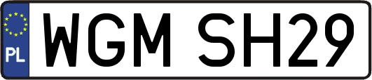 WGMSH29