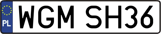 WGMSH36