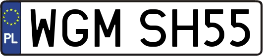 WGMSH55