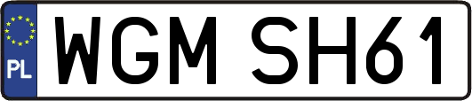 WGMSH61