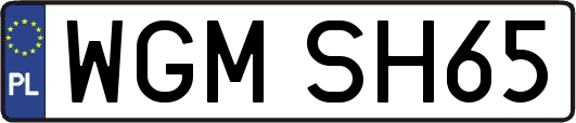 WGMSH65