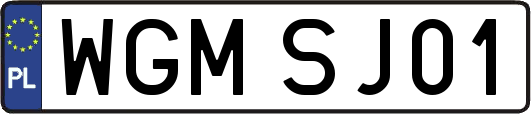 WGMSJ01