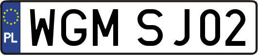 WGMSJ02