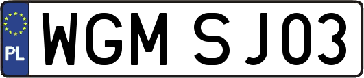 WGMSJ03