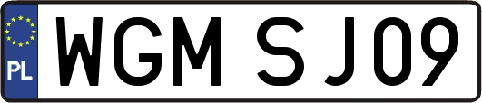 WGMSJ09