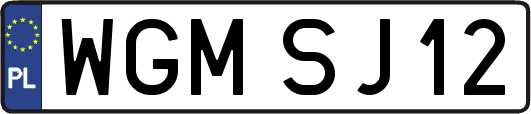WGMSJ12