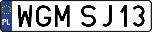 WGMSJ13