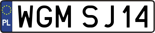 WGMSJ14