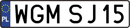 WGMSJ15