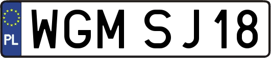WGMSJ18