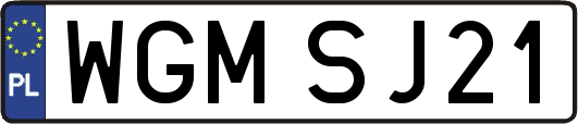 WGMSJ21