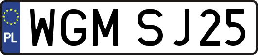 WGMSJ25