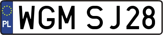 WGMSJ28