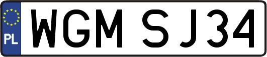 WGMSJ34
