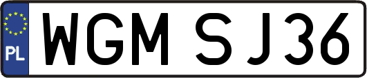 WGMSJ36