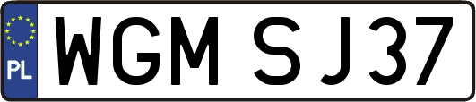 WGMSJ37