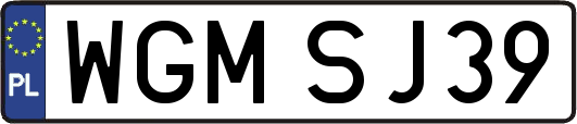 WGMSJ39