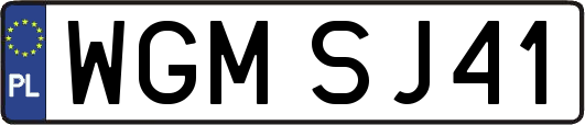 WGMSJ41