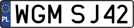 WGMSJ42