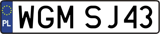 WGMSJ43