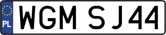 WGMSJ44