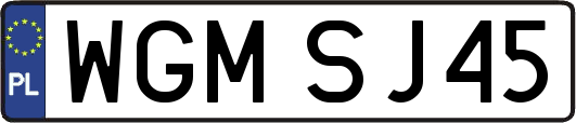 WGMSJ45