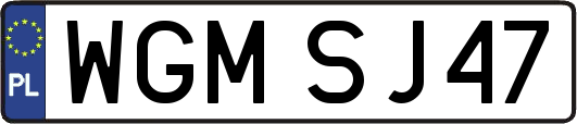 WGMSJ47