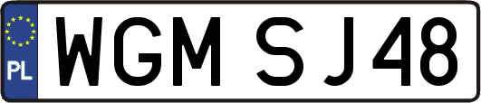 WGMSJ48
