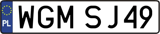 WGMSJ49