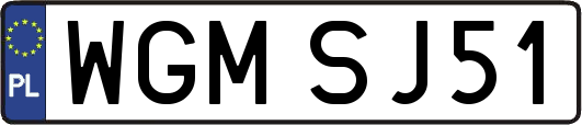 WGMSJ51