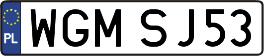 WGMSJ53