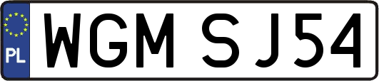 WGMSJ54