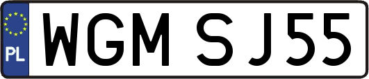 WGMSJ55