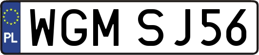 WGMSJ56