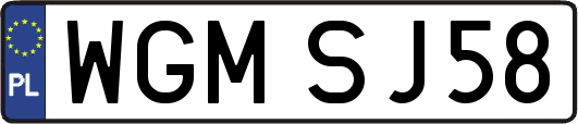 WGMSJ58