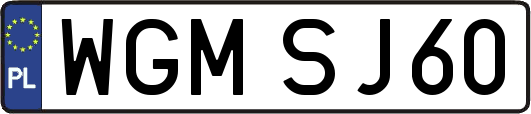 WGMSJ60