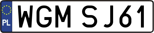 WGMSJ61