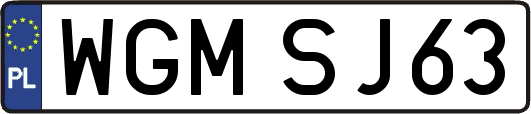 WGMSJ63